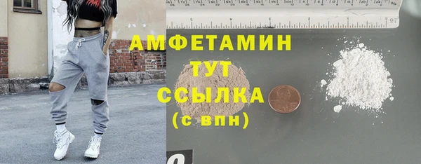 прущие грибы Абаза