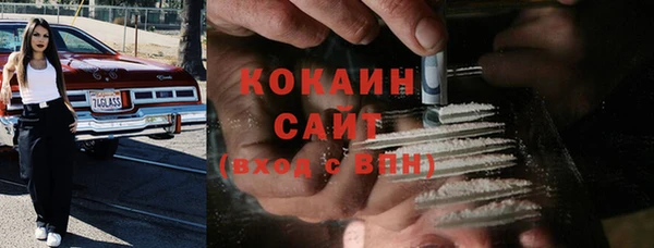 прущие грибы Абаза