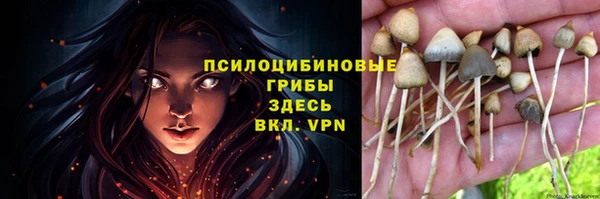 МДПВ Абинск