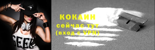 прущие грибы Абаза