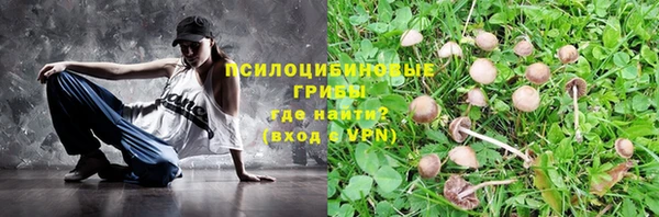 МДПВ Абинск
