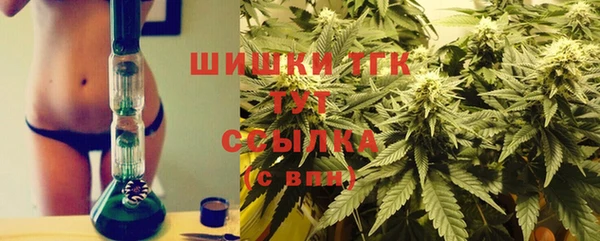 МДПВ Абинск