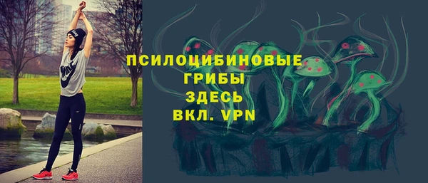 прущие грибы Абаза