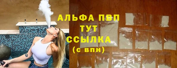 прущие грибы Абаза